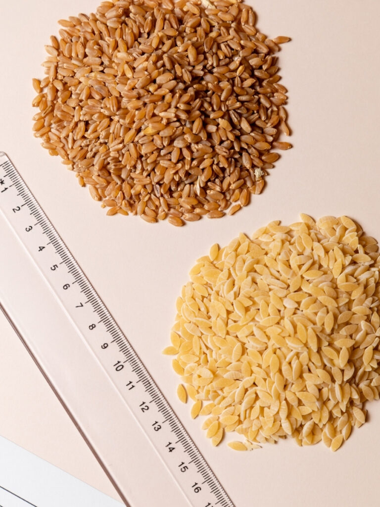 Immagine di dettaglio dello studio progettuali dei Chicchi di grano Mancini