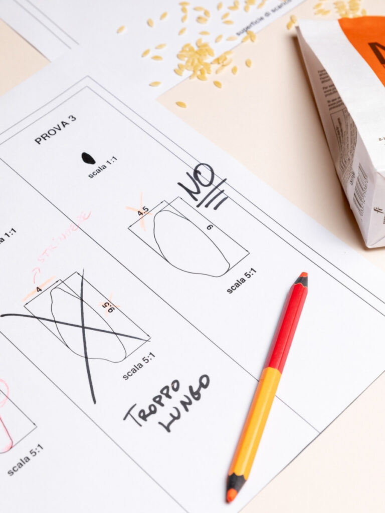 Immagine di dettaglio dello studio progettuali dei Chicchi di grano Mancini