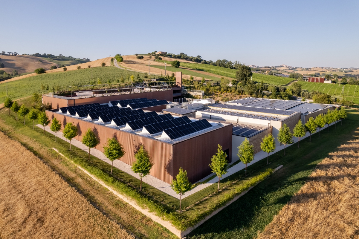 Immagine del sito produttivo di Pastificio Agricolo Mancini in estate - vista laterale dall'alto