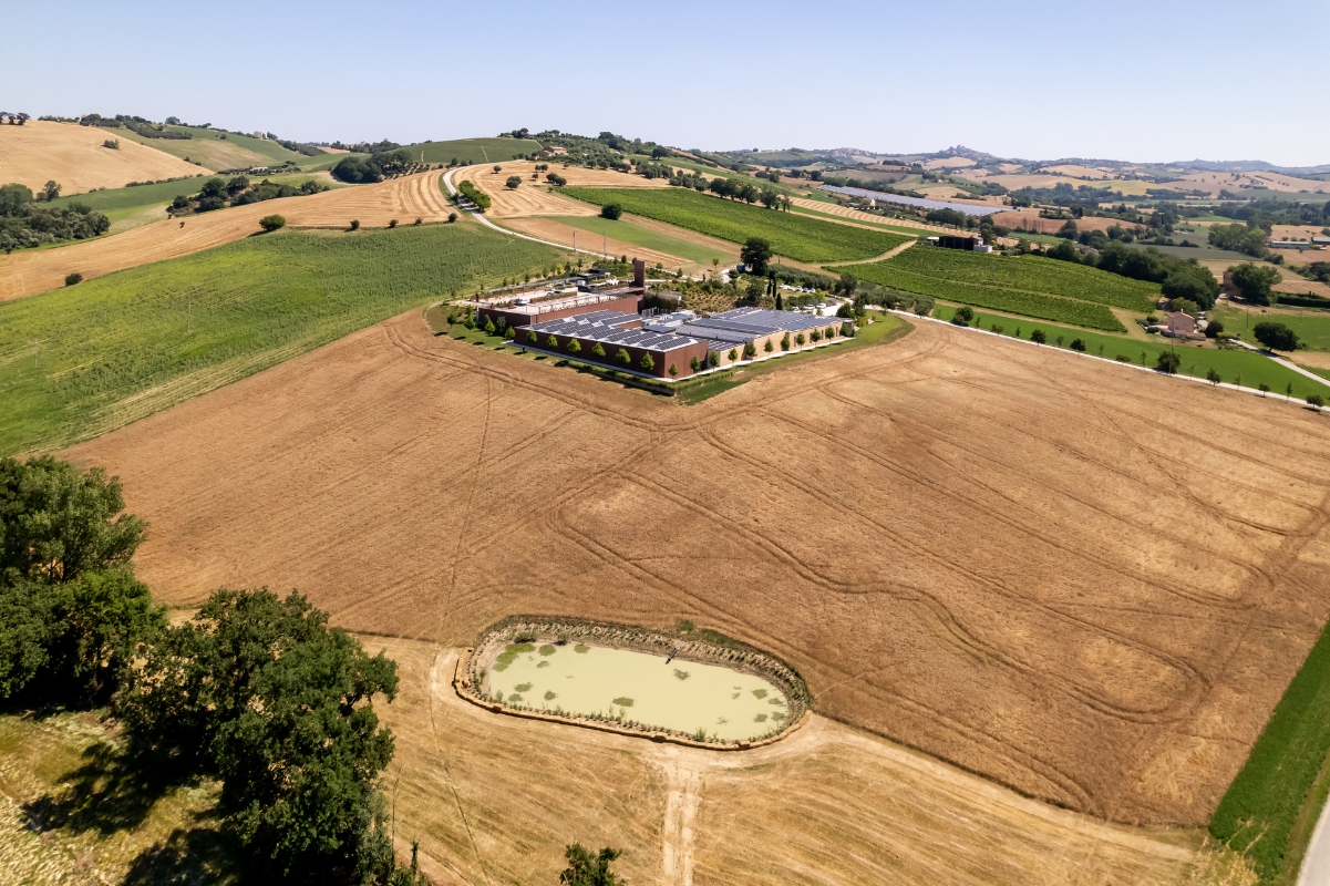 Immagine del sito produttivo di Pastificio Agricolo Mancini in estate - vista dall'alto