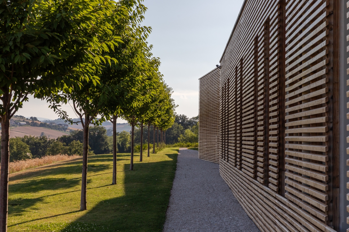 Immagine del sito produttivo di Pastificio Agricolo Mancini in estate - vista del camminamento