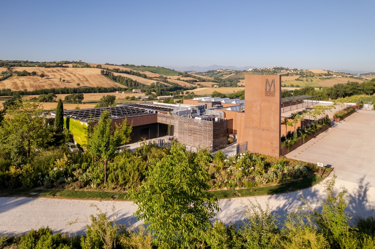 Immagine del sito produttivo di Pastificio Agricolo Mancini in estate - vista da est
