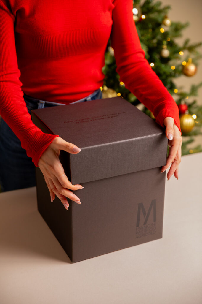 Immagine box Mancini Cubo Mini